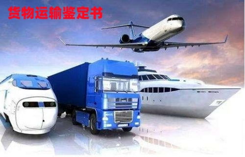 貨物運(yùn)輸條件鑒定書 辦理途徑與現(xiàn)場鑒定適用范圍詳解